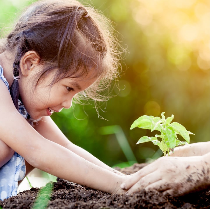 苗を植える子供